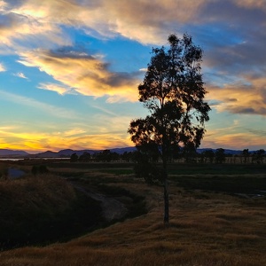 Wetlands Edge Park, American Canyan, CA